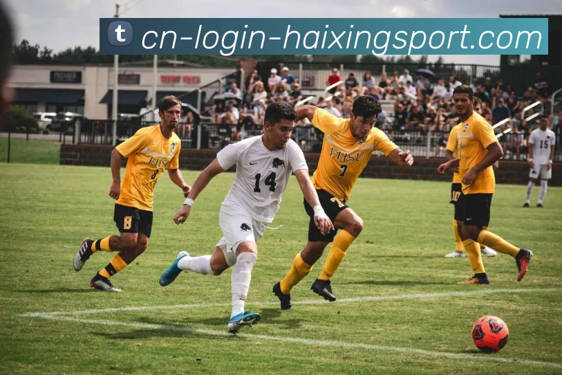 海星体育平台生态图